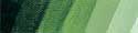 Schmincke Mussini Oil 35 ml Sap Green S2