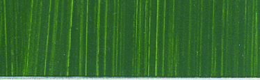 Roberson Oil Charles Oil Colour 60ml Sap Green S1