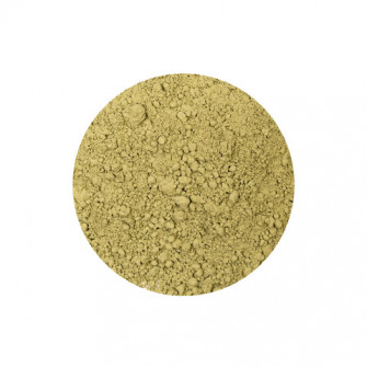 Pigment 100 grams Green Earth Light  - Unavailable