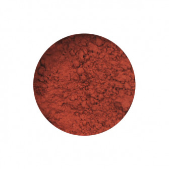 Pigment 100 grams Venetian Red