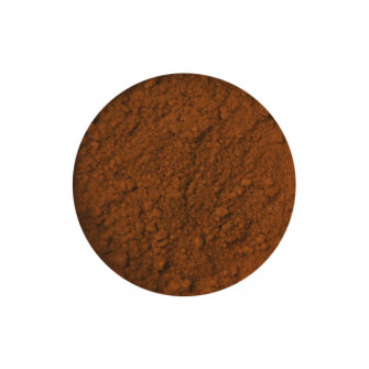 Pigment 500 grams Translucent Yellow Oxide