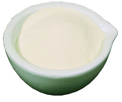 Cornelissen Casein Lactic 80 Mesh 500 grams