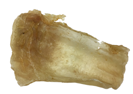 Cornelissen Isinglass Sturgeon 250 grams