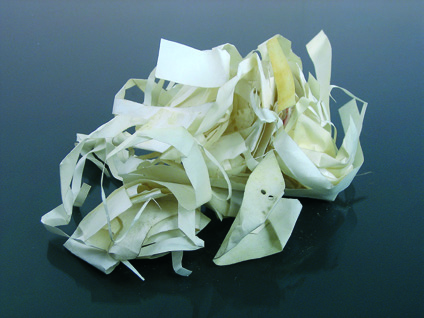 Cornelissen Parchment Clippings 250 grams