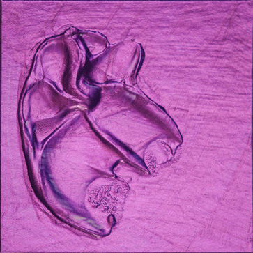 Roberson Liquid Metal Red Purple 500 ml