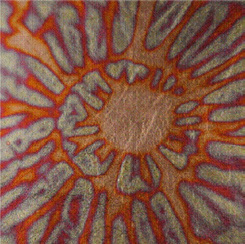 Roberson Metal Leaf Variegated No 236 S1 Transfer Book of 25 Sheets