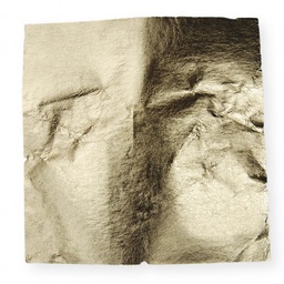 [CR72322] Roberson Metal Leaf No 2 25 Sheets Transfer